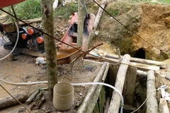 (Ảnh: Quốc Khánh/TTXVN)