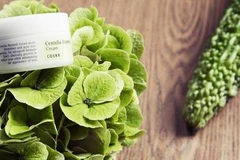 Rau má - thành phần dưỡng da được tìm kiếm nhiều nhất hiện nay