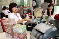 (Ảnh minh họa. Trần Việt/TTXVN)