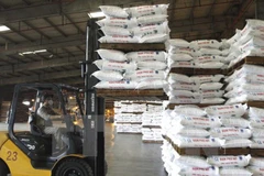 Vận chuyển sản phẩm đạm Phú Mỹ trong kho của nhà máy để chuẩn bị đưa đi tiêu thụ. (Ảnh: Hoàng Hải/TTXVN)