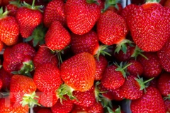 [Video] Những vụ bê bối thực phẩm kinh hoàng trên thế giới