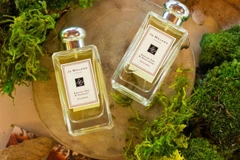 Cẩm nang chọn nước hoa theo tính cách cho cánh đàn ông 