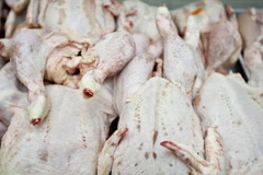 70% thịt gà tại các siêu thị của Anh bị nhiễm khuẩn gây tiêu chảy