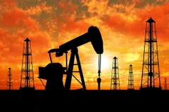 Kuwait hy vọng OPEC sẽ “hành động” nhằm hỗ trợ giá dầu