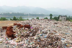 Hòa Bình: Đóng cửa bãi rác gây ô nhiễm nguồn nước sông Đà