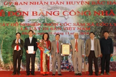 Lào Cai: Cây gỗ nghiến 1.000 năm tuổi được công nhận Cây di sản