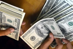 Kiểm đồng USD. (Nguồn: AFP/TTXVN)