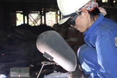 Ảnh chỉ có tính minh họa. (Ảnh: Thái Bình/TTXVN)