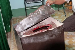 Ảnh chỉ có tính minh họa. (Ảnh: Trần Lê Lâm/TTXVN)