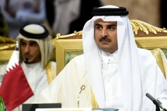 Tiểu vương Qatar Sheikh Tamim bin Hamad al-Thani (giữa, trước). (Nguồn: AFP/TTXVN)