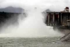 Ảnh chỉ có tính minh họa. (Ảnh: Quang Đán/TTXVN)