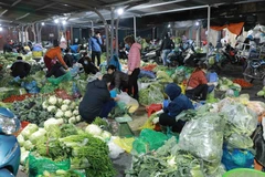 Nguồn thực phẩm sau Tết khá dồi dào để phục vụ mua sắm của người dân. (Ảnh: Vũ Sinh/TTXVN)