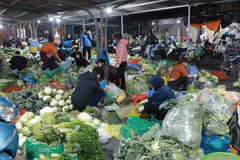 Nguồn thực phẩm sau Tết khá dồi dào để phục vụ mua sắm của người dân. (Ảnh: Vũ Sinh/TTXVN)