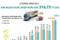[Infographics] Tổng kim ngạch xuất, nhập khẩu đạt 316,73 tỷ USD