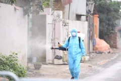 Phun khử khuẩn phòng chống dịch COVID-19. (Ảnh: PV/Vietnam+)
