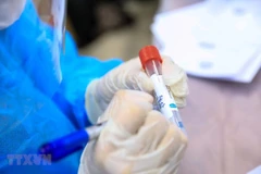 (Ảnh: Thành Đạt/TTXVN)