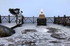 Sương muối phủ trắng trên đỉnh Fansipan. (Ảnh: Quốc Khánh/TTXVN)