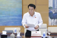 Trưởng ban Dân nguyện thuộc Ủy ban Thường vụ Quốc hội Dương Thanh Bình trình bày báo cáo. (Ảnh: Doãn Tấn/TTXVN)