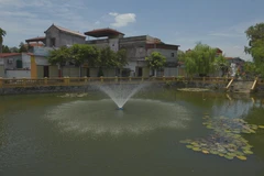 Một ao của xã Trung Mầu (Gia Lâm) được cải tạo đẹp mắt. (Ảnh Mạnh Khánh/TTXVN) 