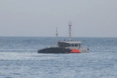 Ảnh minh họa. (Nguồn: TTXVN)