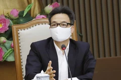 Phó Thủ tướng Vũ Đức Đam phát biểu. (Ảnh: Doãn Tấn/TTXVN)