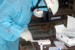 Nhân viên y tế lấy mẫu xét nghiệm test nhanh COVID-19. (Ảnh: Huỳnh Anh/TTXVN)