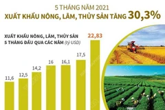Xuất khẩu nông, lâm, thủy sản trong 5 tháng năm 2021 tăng 30,3%