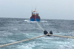 Ảnh minh họa. (Ảnh: TTXVN phát)