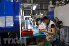 Công nhân làm việc tại Công ty Cổ phần Hanpo Vina, khu công nghiệp Yên Phong, tỉnh Bắc Ninh. (Ảnh: Thanh Thương/TTXVN) 