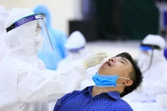 Lấy mẫu xét nghiệm COVID-19. (Ảnh: Thành Đạt/TTXVN)