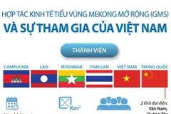 Hợp tác kinh tế tiểu vùng Mekong mở rộng và sự tham gia của Việt Nam