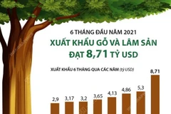 [Infographics] Xuất khẩu gỗ và lâm sản 6 tháng đầu năm đạt 8,71 tỷ USD