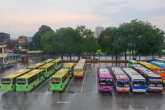 Ảnh minh họa. (Nguồn: TTXVN)