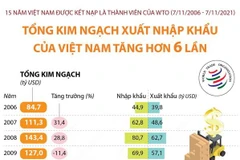 Tổng kim ngạch xuất nhập khẩu của Việt Nam tăng hơn 6 lần