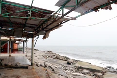 Sạt lở tại Khu Du lịch biển thị trấn Thịnh Long, huyện Hải Hậu, tỉnh Nam Định lan rộng. (Ảnh: Văn Đạt/TTXVN)