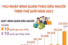 [Infographics] Thu nhập bình quân theo đầu người thế giới năm 2021