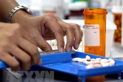 Ảnh minh họa. (Nguồn: TTXVN)