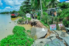 Ảnh minh họa. (Nguồn: TTXVN)