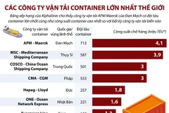 [Infographics] Các công ty vận tải container lớn nhất thế giới