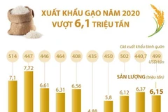 [Infographics] Năm 2020 xuất khẩu gạo của cả nước vượt 6,1 triệu tấn