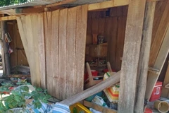 Voi rừng phá hoại tài sản của người dân ở khu vực ấp 5 xã Thanh Sơn, huyện Định Quán, tỉnh Đồng Nai. (Ảnh: TTXVN phát) 