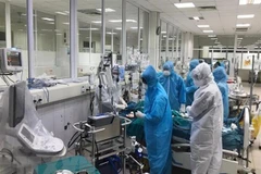 Tích cực điều trị cho một ca bệnh COVID-19. Ảnh minh họa. (Ảnh: TTXVN phát)