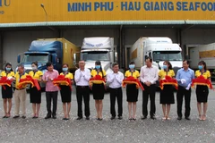 Các đại biểu thực hiện nghi thức đưa lô hàng đi xuất khẩu. (Ảnh: Hồng Thái/TTXVN)