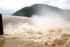 Ảnh chỉ có tính minh họa. (Nguồn: TTXVN)