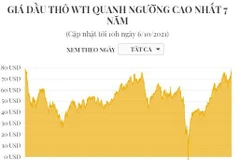 [Infographics] Giá dầu thô WTI quanh ngưỡng cao nhất 7 năm