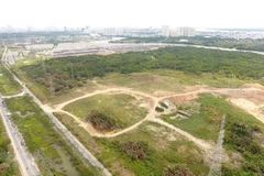 Ảnh minh họa. (Nguồn: TTXVN)