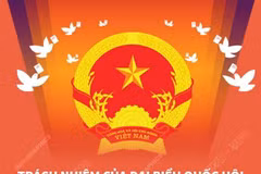 [Infographics] Những trách nhiệm của người đại biểu Quốc hội