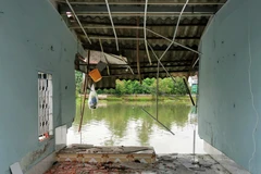 Một căn nhà bị sập hơn một nửa xuống sông. (Ảnh: Thanh Liêm/TTXVN)