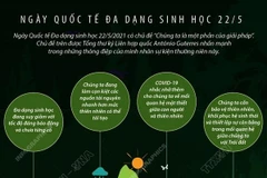 Thực hiện phun khử khuẩn khu vực bầu cử tại Khu cách ly tập trung Trung tâm Y tế quận Gò Vấp. (Ảnh: Đinh Hằng/TTXVN)