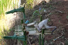 Lễ vật để cúng ruộng gồm 1 con gà trống, rượu, hương, giấy bạc mã. (Ảnh: Tuấn Anh/TTXVN)